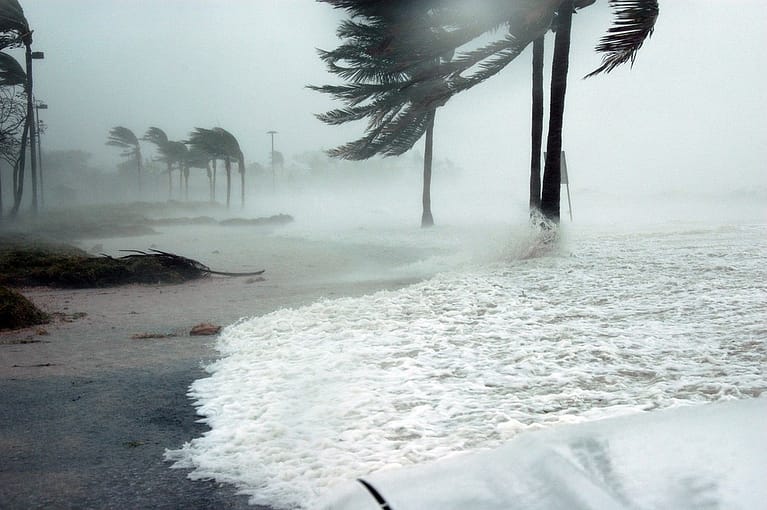 How to Prepare for Miami Hurricane Season